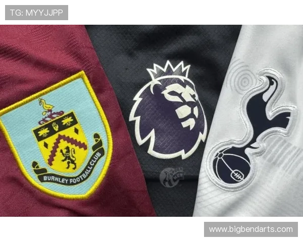 英超伯恩利热刺