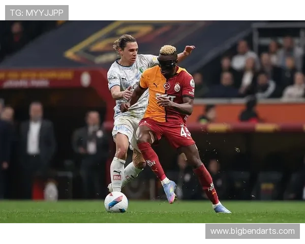 努涅斯与奥斯梅恩对比:全面性源于战术角色还是数据贡献?