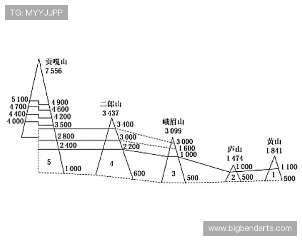 基米希与布鲁诺传球倾向下的转移路径分散性对比分析