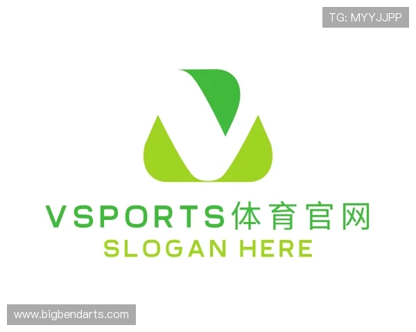 关于VSPORTS胜利因您更精彩